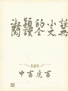 淑颖的小说免费阅读全文无弹窗