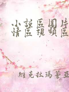 小说区图片区激情区视频区