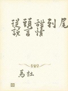 从头甜到尾的小说言情