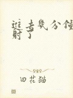 进去几分钟就早射了