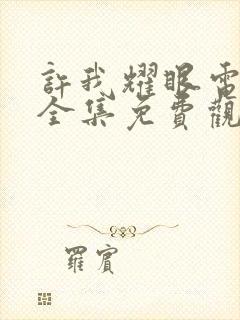 许我耀眼电视剧全集免费观看全集