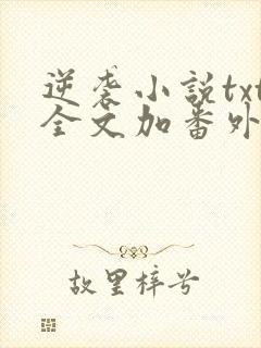 逆袭小说txt全文加番外