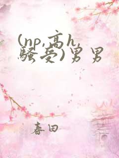 (np,高h,骚受)男男