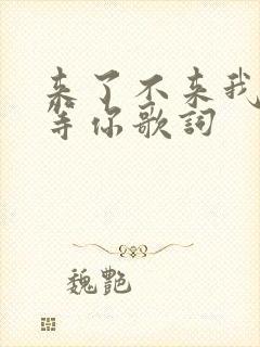 来了不来我都在等你歌词