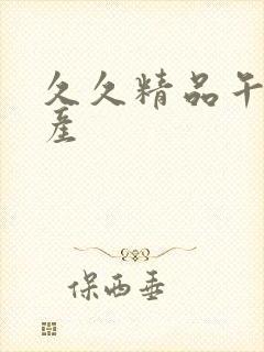 久久精品午夜国产