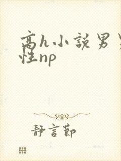 高h小说男男双性np