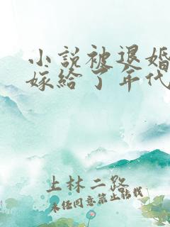 小说被退婚后我嫁给了年代文大佬