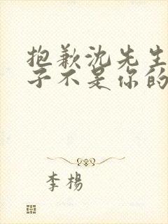 抱歉沈先生,孩子不是你的免费观看短剧