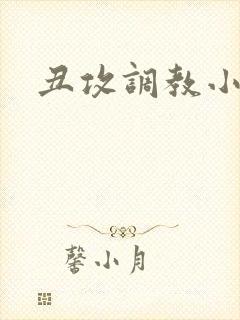 丑攻调教小说