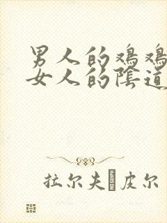 男人的鸡鸡插入女人的阴道视频