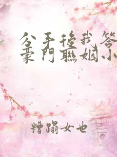 分手后我答应了豪门联姻小说