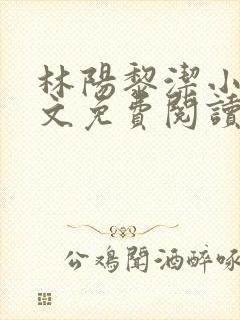 林阳黎洁小说全文免费阅读最新章节