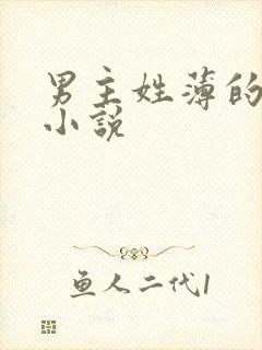 男主姓薄的全部小说