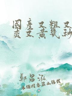 国产又粗又猛又爽又黄几秒视频