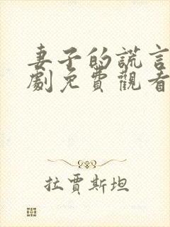 妻子的谎言电视剧免费观看电视剧