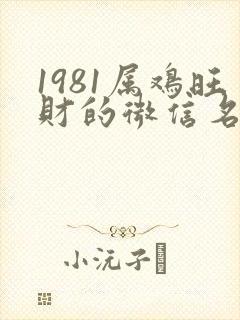 1981属鸡旺财的微信名字男人