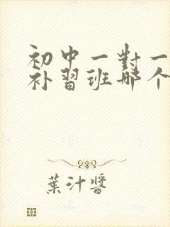 初中一对一数学补习班哪个好