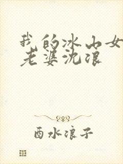 我的冰山女总裁老婆沈浪