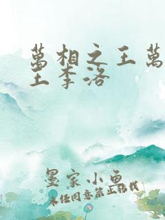 万相之王万相之王李洛