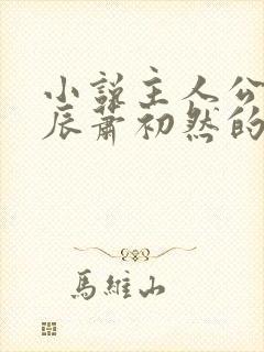 小说主人公叫叶辰萧初然的小说名