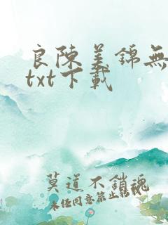 良陈美锦无删减txt下载