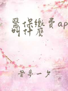 医保缴费app叫什么