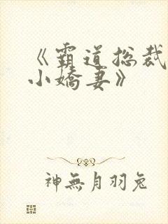 《霸道总裁爱上小娇妻》