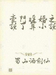 豪门暖婚之夫人说了算小说下载