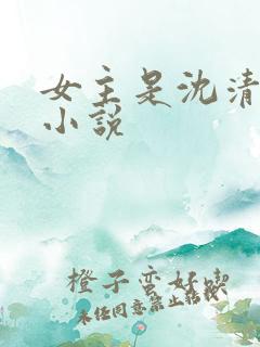 女主是沈清婉的小说