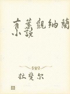 有叶观纳兰迦的小说