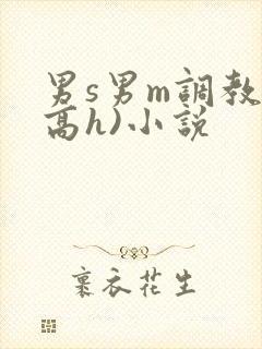 男s男m调教(高h)小说