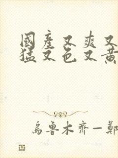 国产又爽又粗又猛又色又黄的