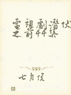 电视剧潜伏黎明之前44集