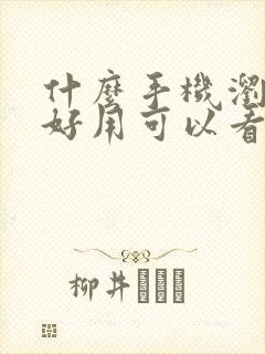 什么手机浏览器好用可以看任何网站