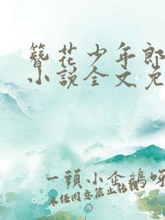 簪花少年郎空留小说全文免费阅读