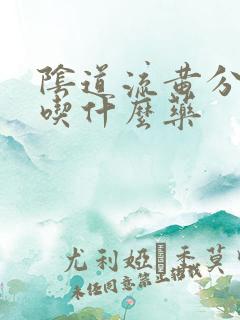 阴道流黄分泌物吃什么药