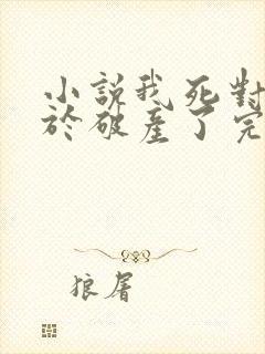 小说我死对头终于破产了完整版