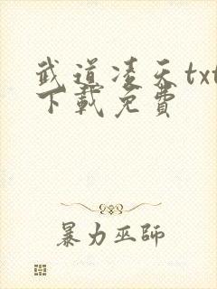 武道凌天txt下载免费