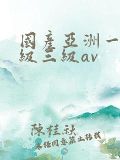 国产亚洲一级二级三级av