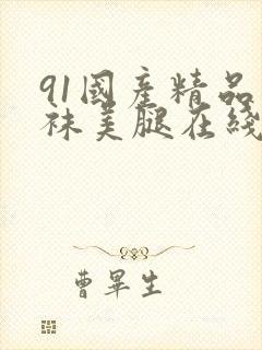 91国产精品丝袜美腿在线观看