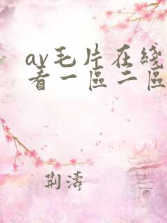 av毛片在线观看一区二区