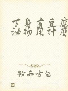 下身有豆腐渣分泌物用什么药