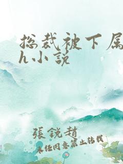 总裁被下属调教h小说