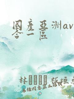 国产亚洲av综合一区