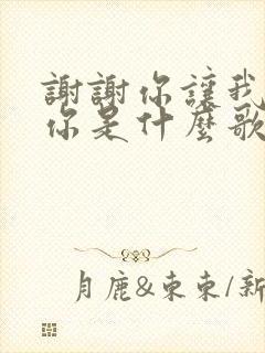 谢谢你让我遇见你是什么歌的歌词