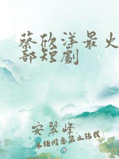 蔡欣洋最火的十部短剧