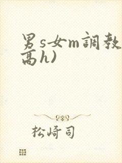 男s女m调教(高h)