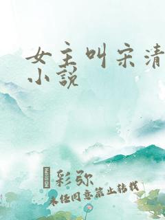 女主叫宋清禾的小说