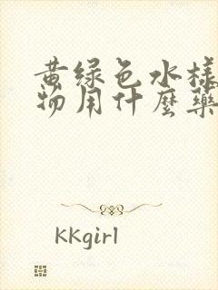 黄绿色水样分泌物用什么药