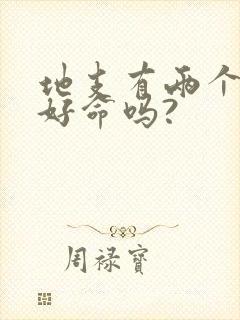 地支有两个财库好命吗?